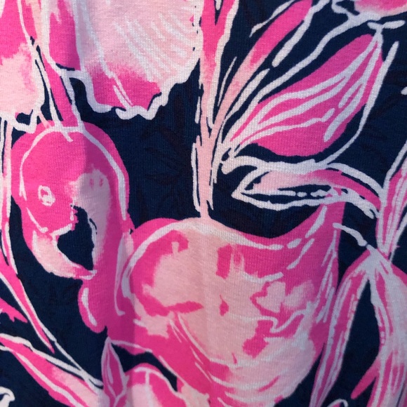 NWT Lilly Pulitzer Stirling Dress S - Picture 2 of 4